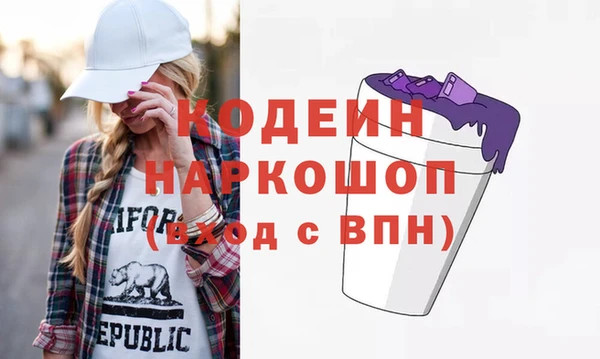 индика Бородино