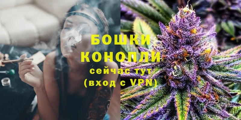 Бошки Шишки SATIVA & INDICA  Губкин 